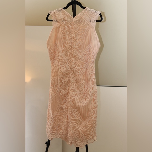 EUC REISS Roxanda Capped Sleeve Light Pink Lace Sheath Dress Size 10 - Picture 7 of 7
